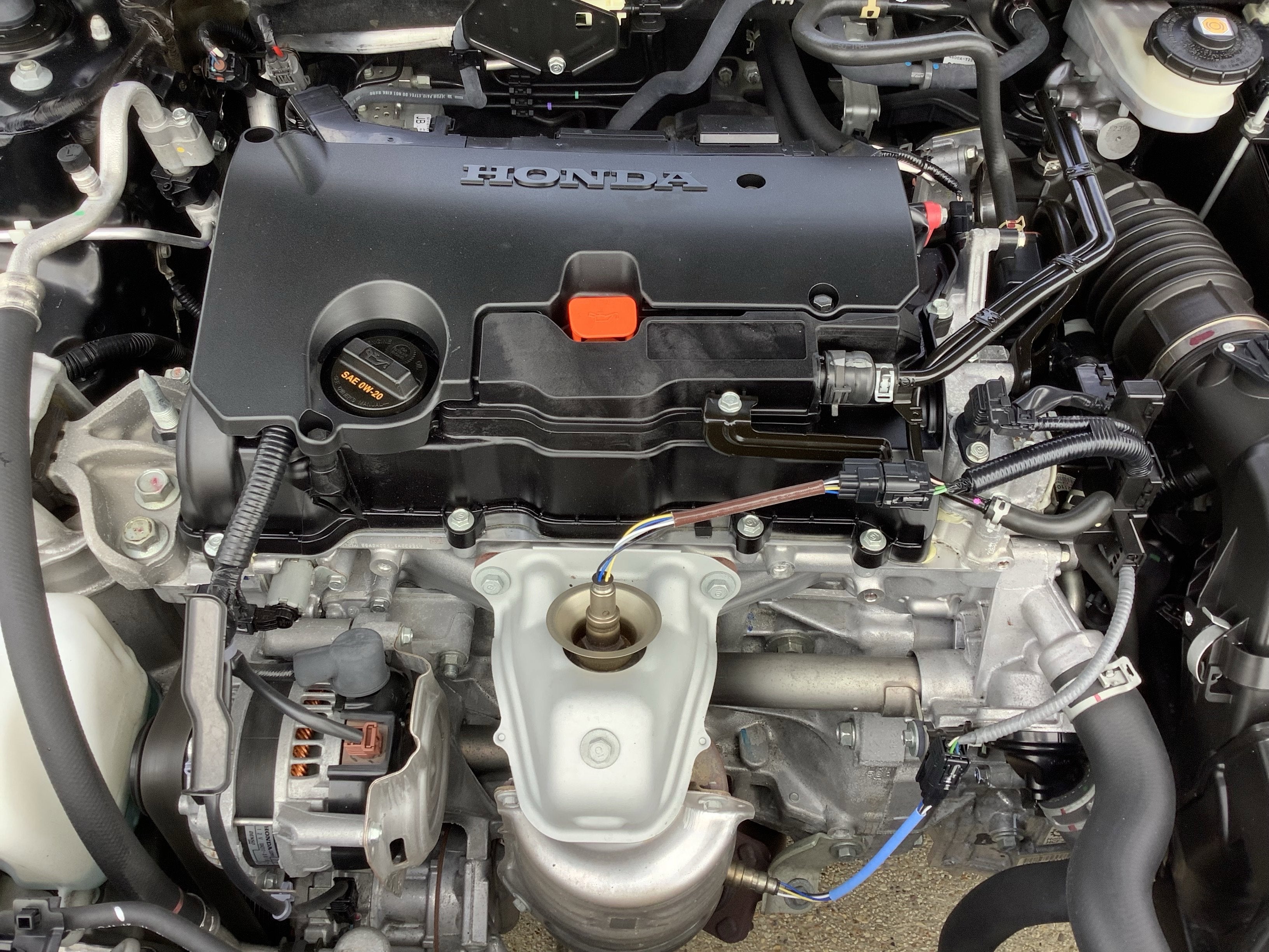 2024 Honda Civic Hatchback Sport