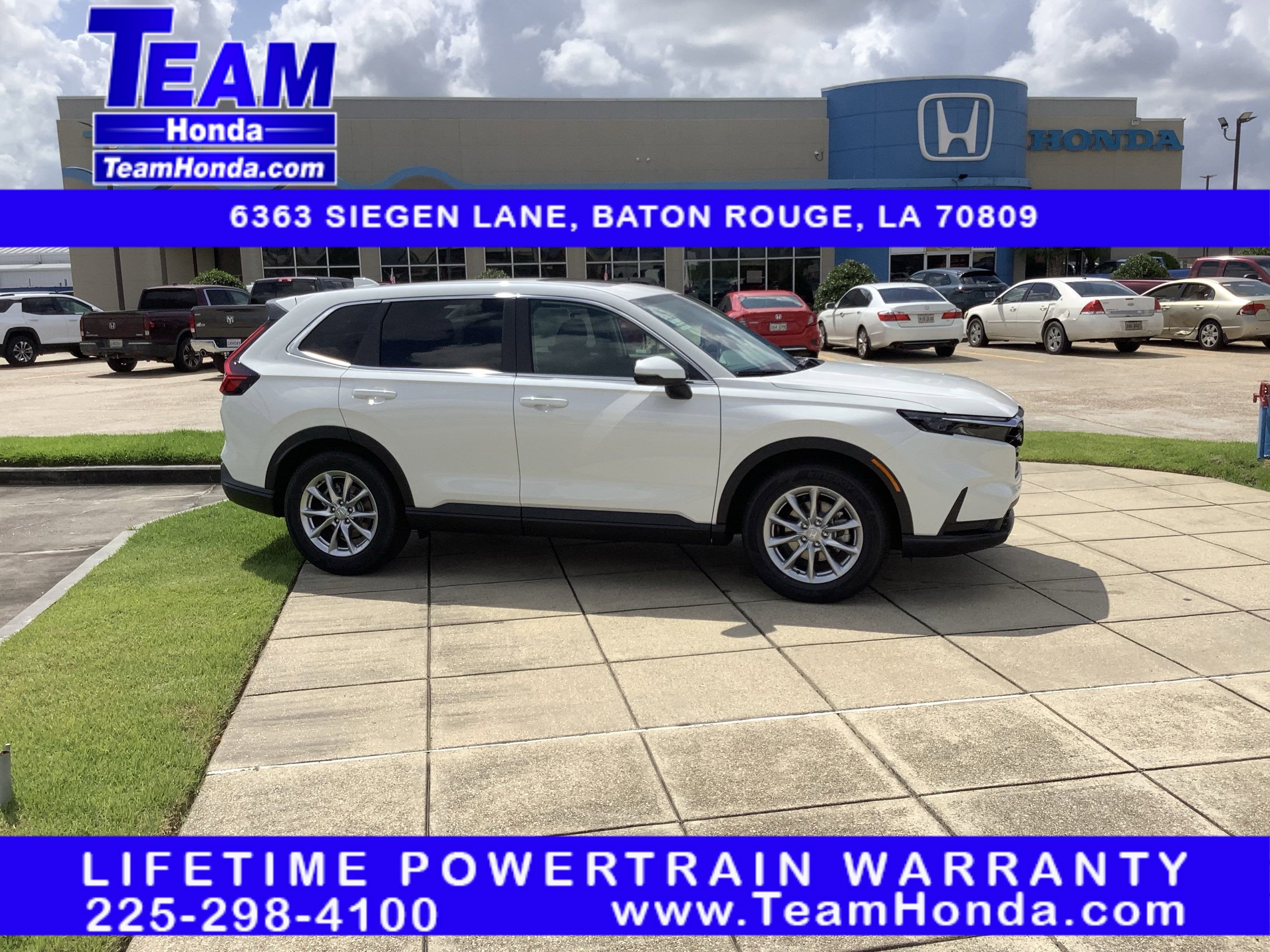 2026 Honda CR-V EX 2WD's photo