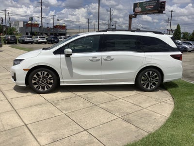 2026 Honda Odyssey Elite