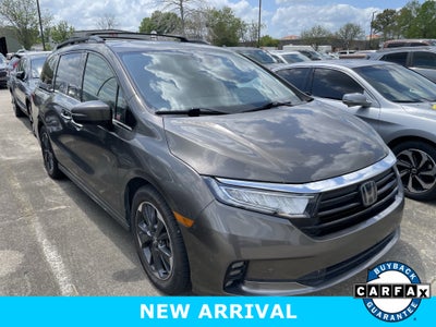 2023 Honda Odyssey Elite