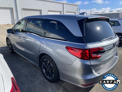 2024 Honda Odyssey Elite