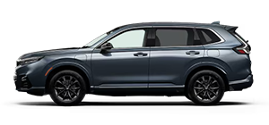 Team Honda in Baton Rouge LA