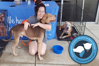 Team Honda in Baton Rouge LA