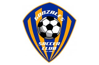 Team Honda in Baton Rouge LA